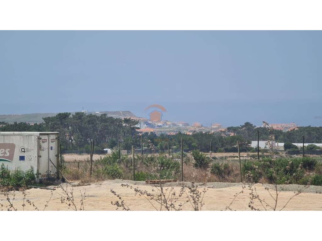 Terreno Agrícola 8.000 m2 | Santa Cruz, Torres Vedras - Grande imagem: 2/3