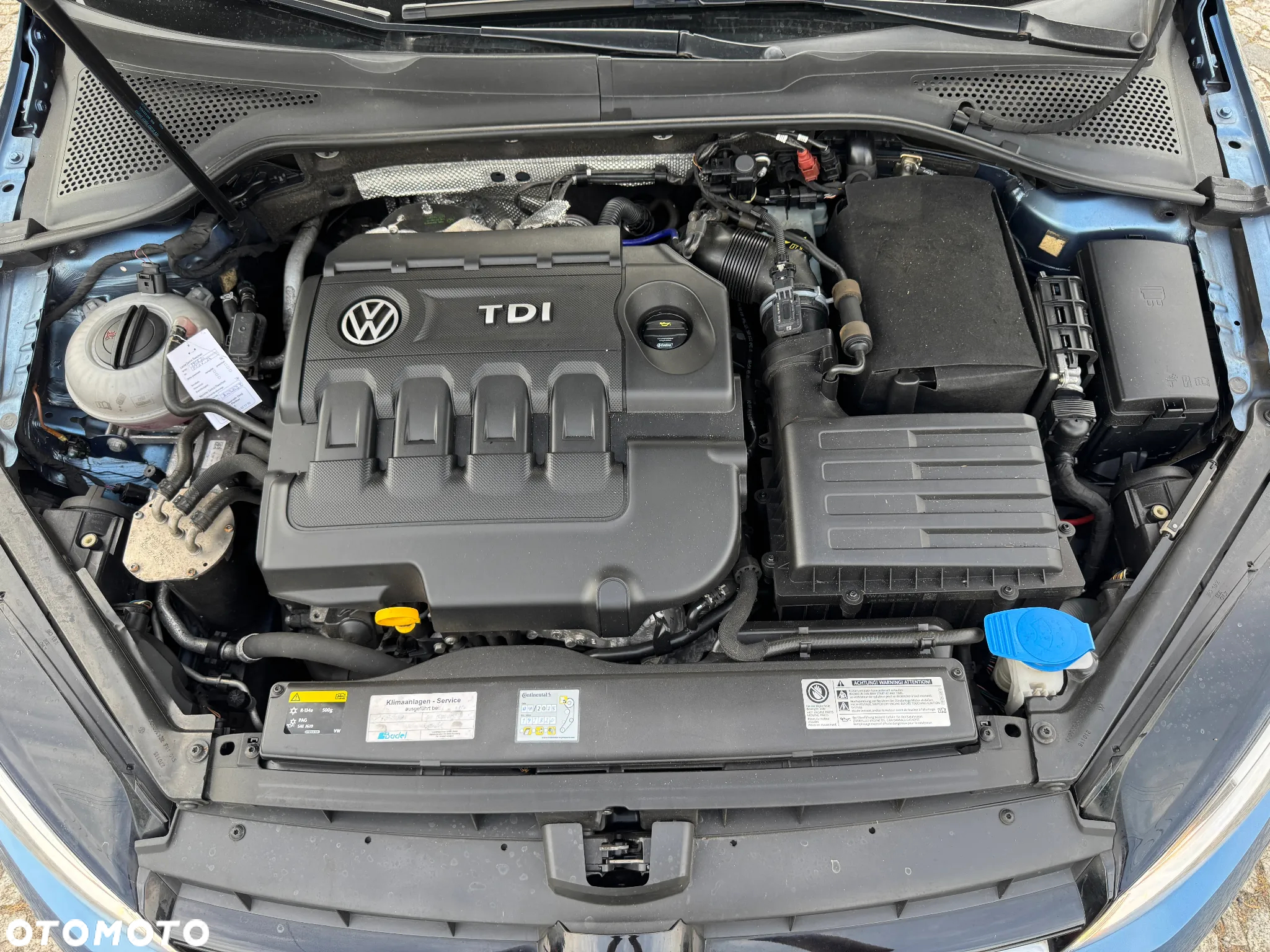 Volkswagen Golf 1.6 BlueTDI Cup - 34