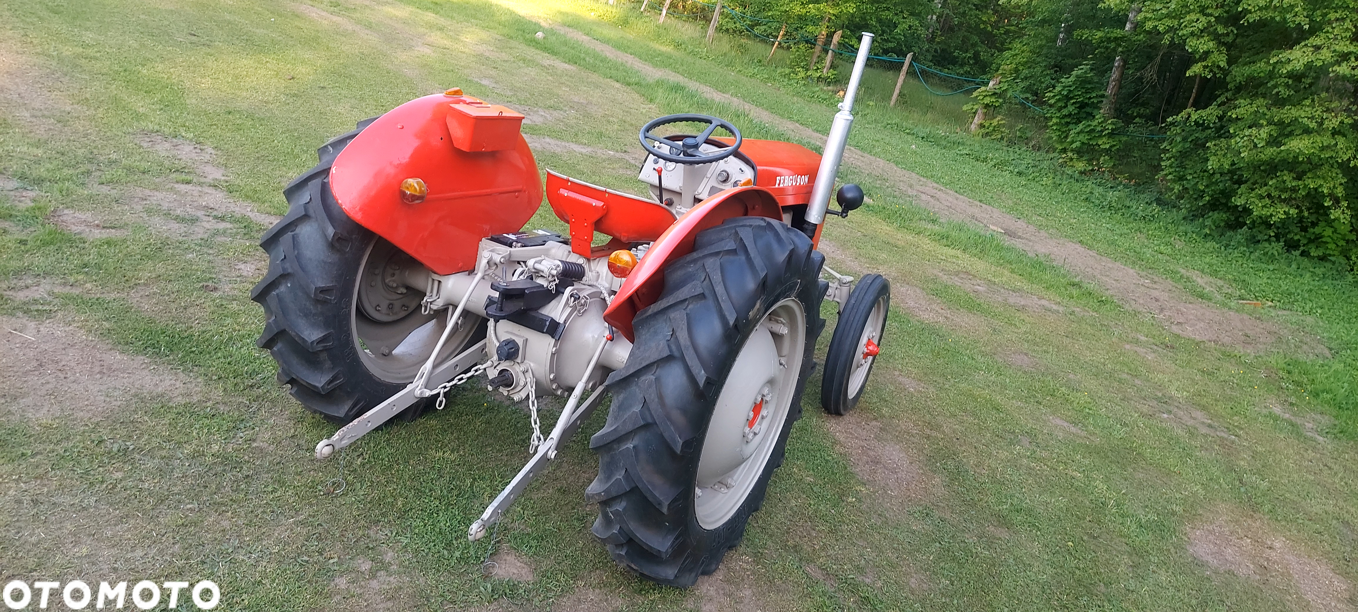 Massey Ferguson TEF-20 - 11