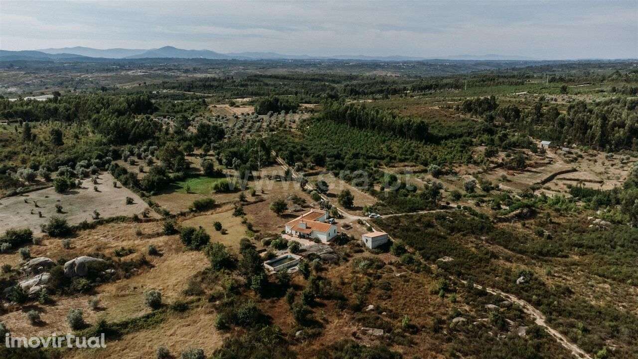 Quinta T3 / Oliveira do Hospital, Seixo da Beira - Grande imagem: 3/19