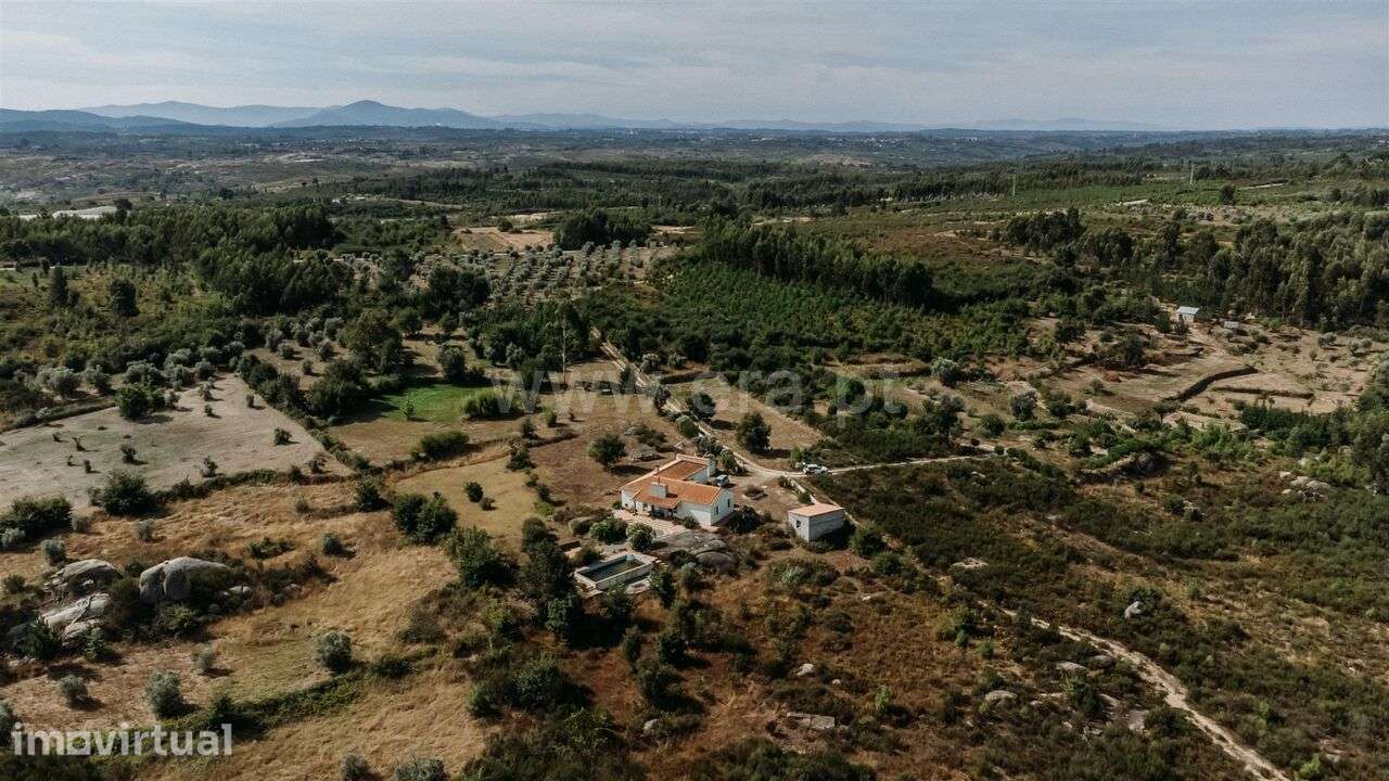 Quinta T3 / Oliveira do Hospital, Seixo da Beira - Grande imagem: 3/19