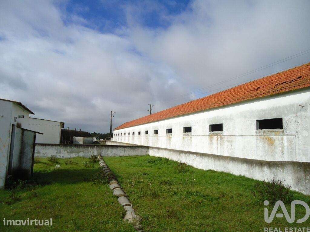 Terreno industrial em Quinta do Anjo - Grande imagem: 5/7