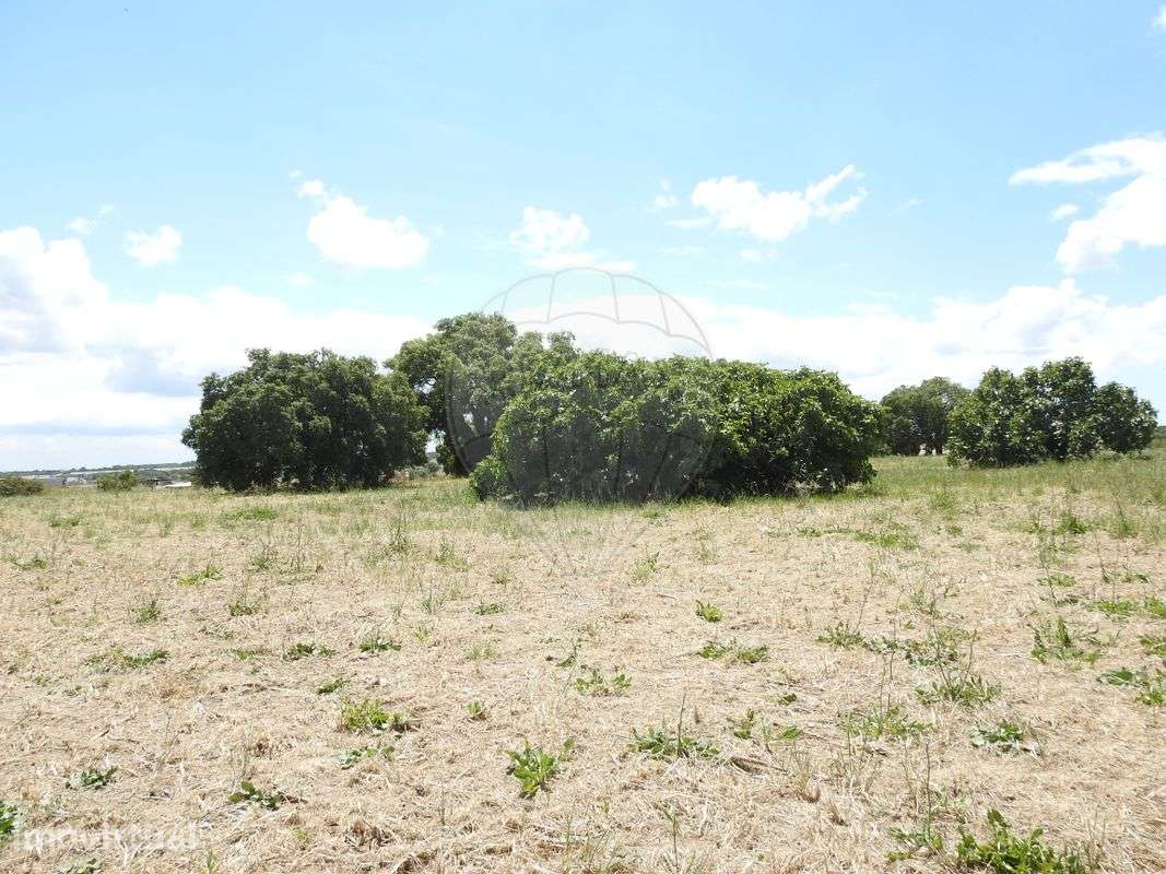Terreno  para venda - Grande imagem: 3/11