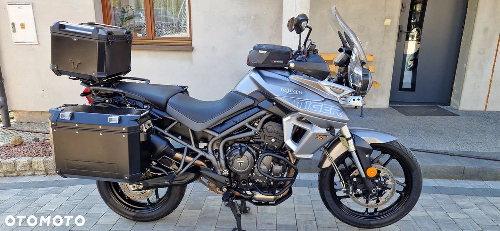 Triumph Tiger - 17