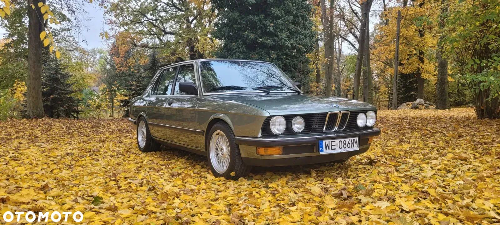 BMW Seria 5 - 1