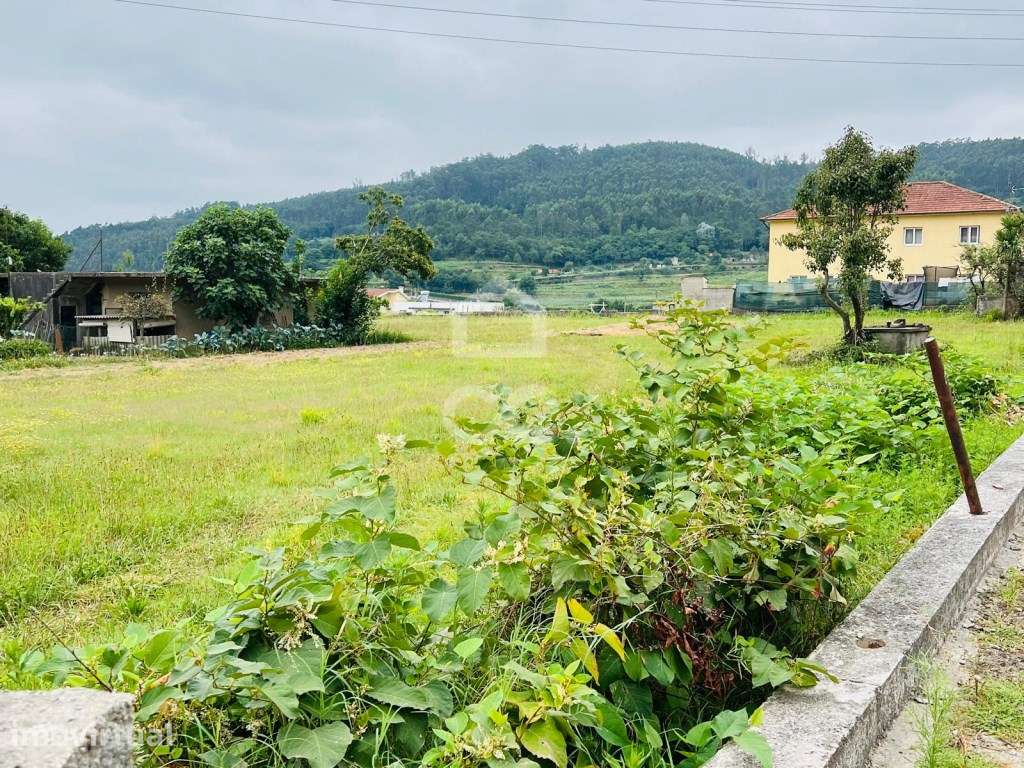 Terreno para construção com 5.076m2 em Telhado - Grande imagem: 3/21