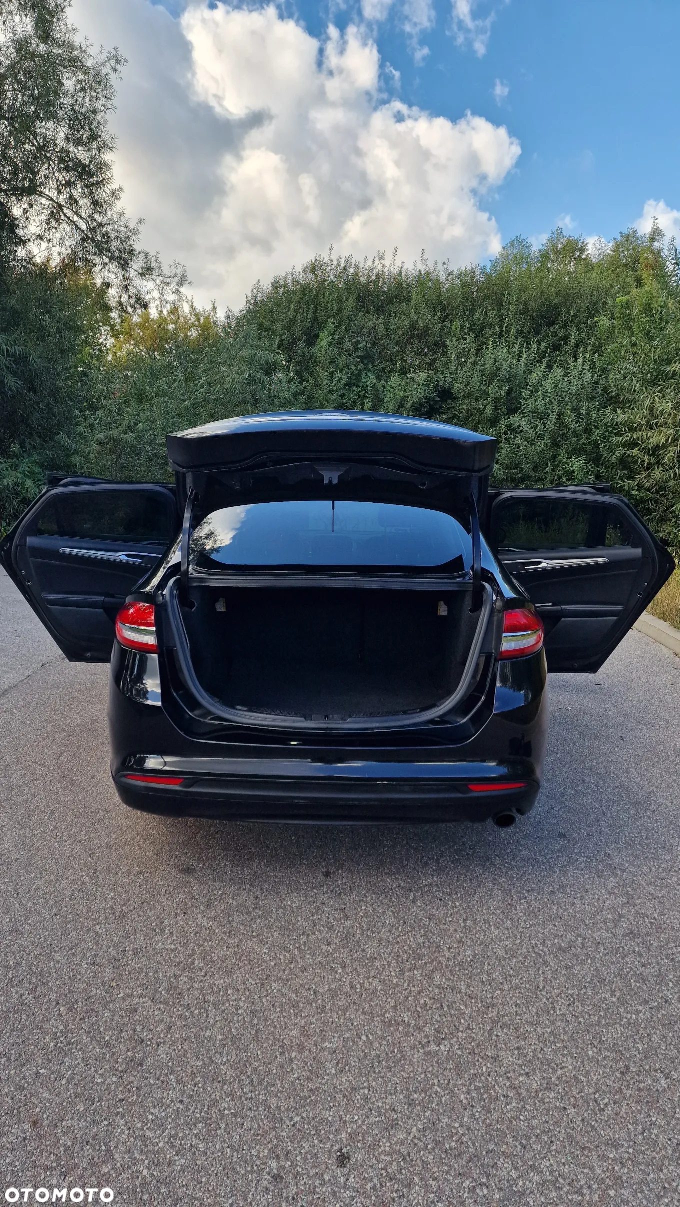 Ford Fusion - 13