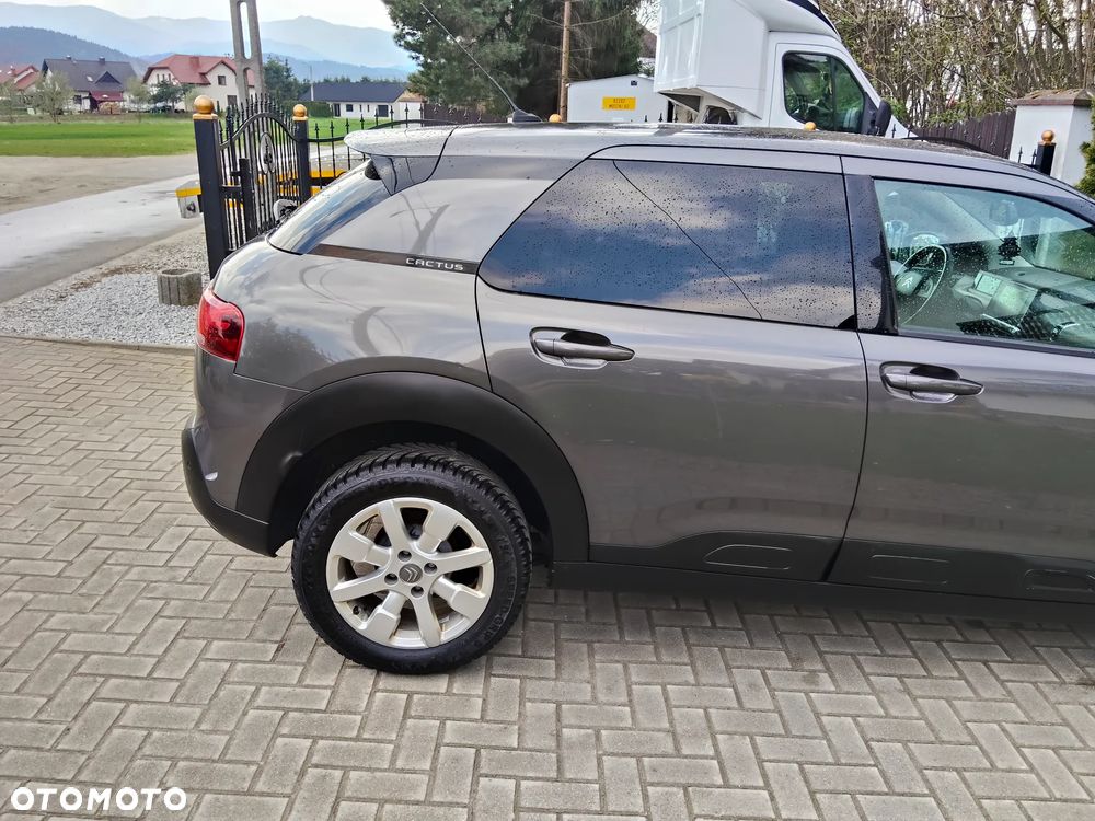 Citroën C4 Cactus 1.2 PureTech Origins S&S - 10