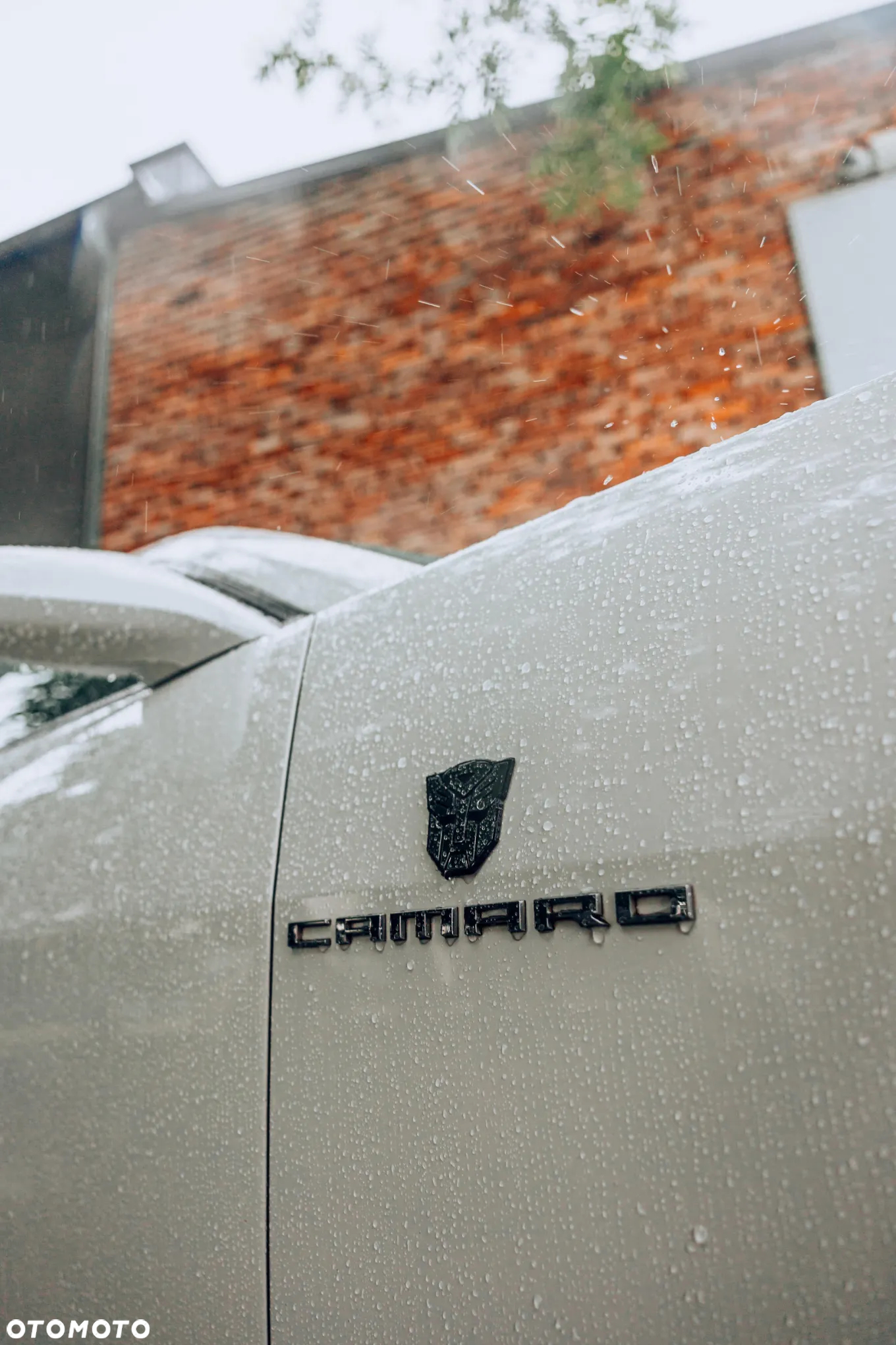 Chevrolet Camaro 3.6 V6 Coupe 2LT - 28