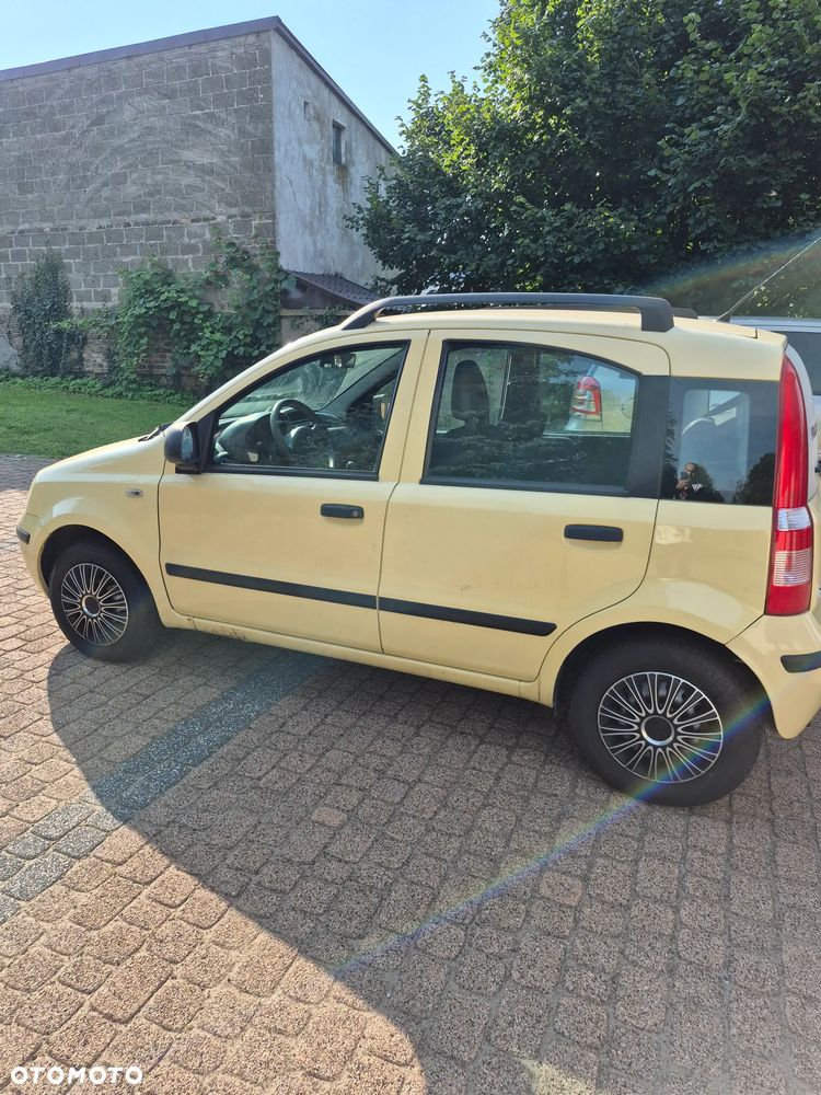 Fiat Panda 1.2 Pop - 5