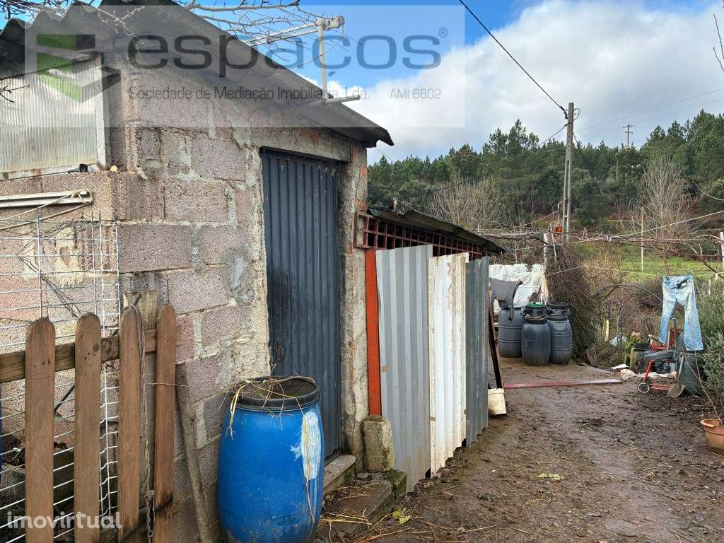 Magnifica Quinta a confinar com Rio Zêzere - Grande imagem: 4/38