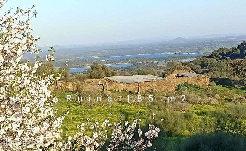 Monsaraz O sítio único e paradisíaco quinta com ruína para reconstruir - Grande imagem: 3/12