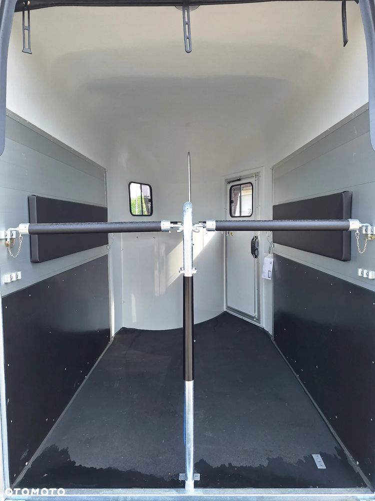 Cheval Liberte Gold Origin Debon - 14