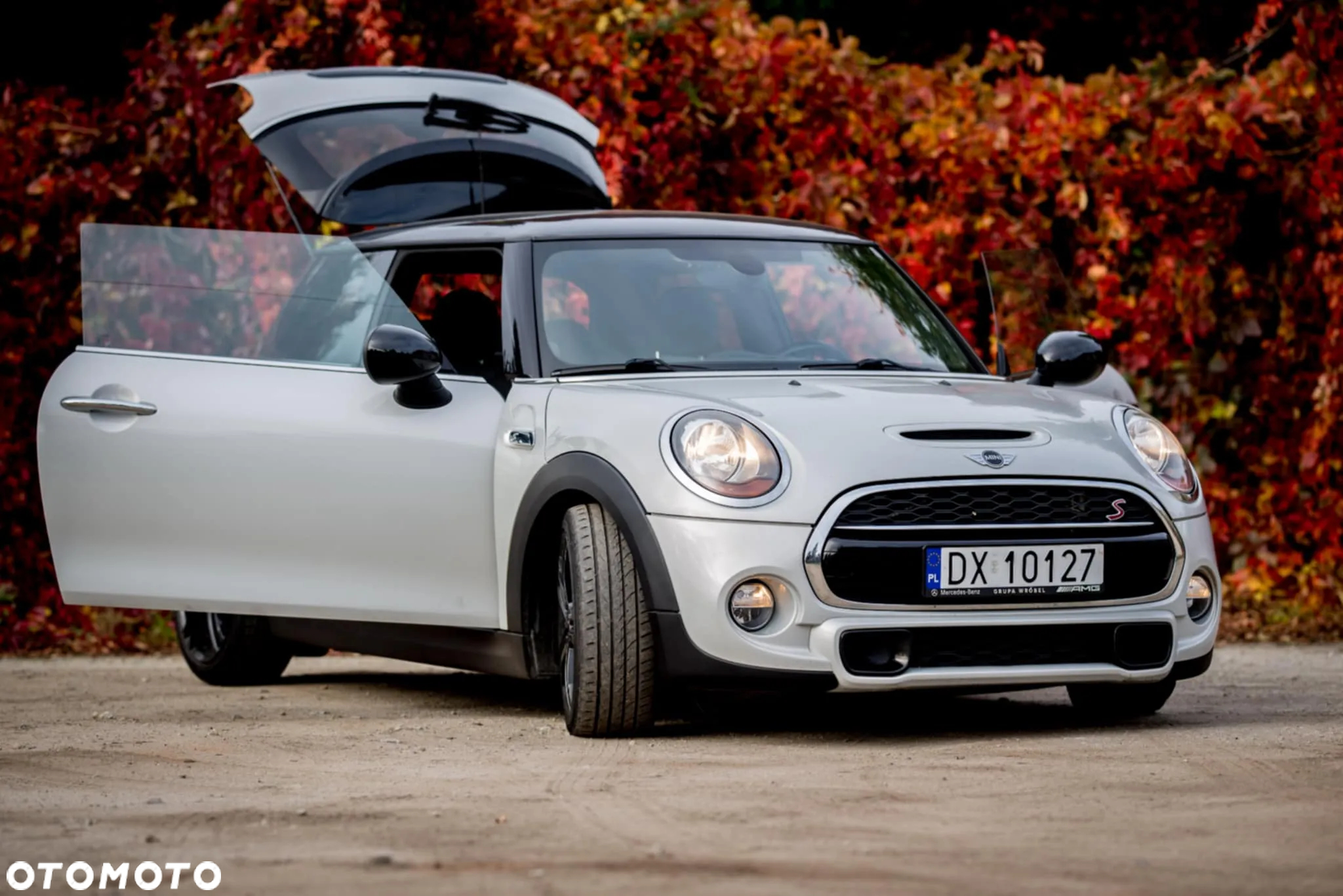 MINI Cooper S - 7
