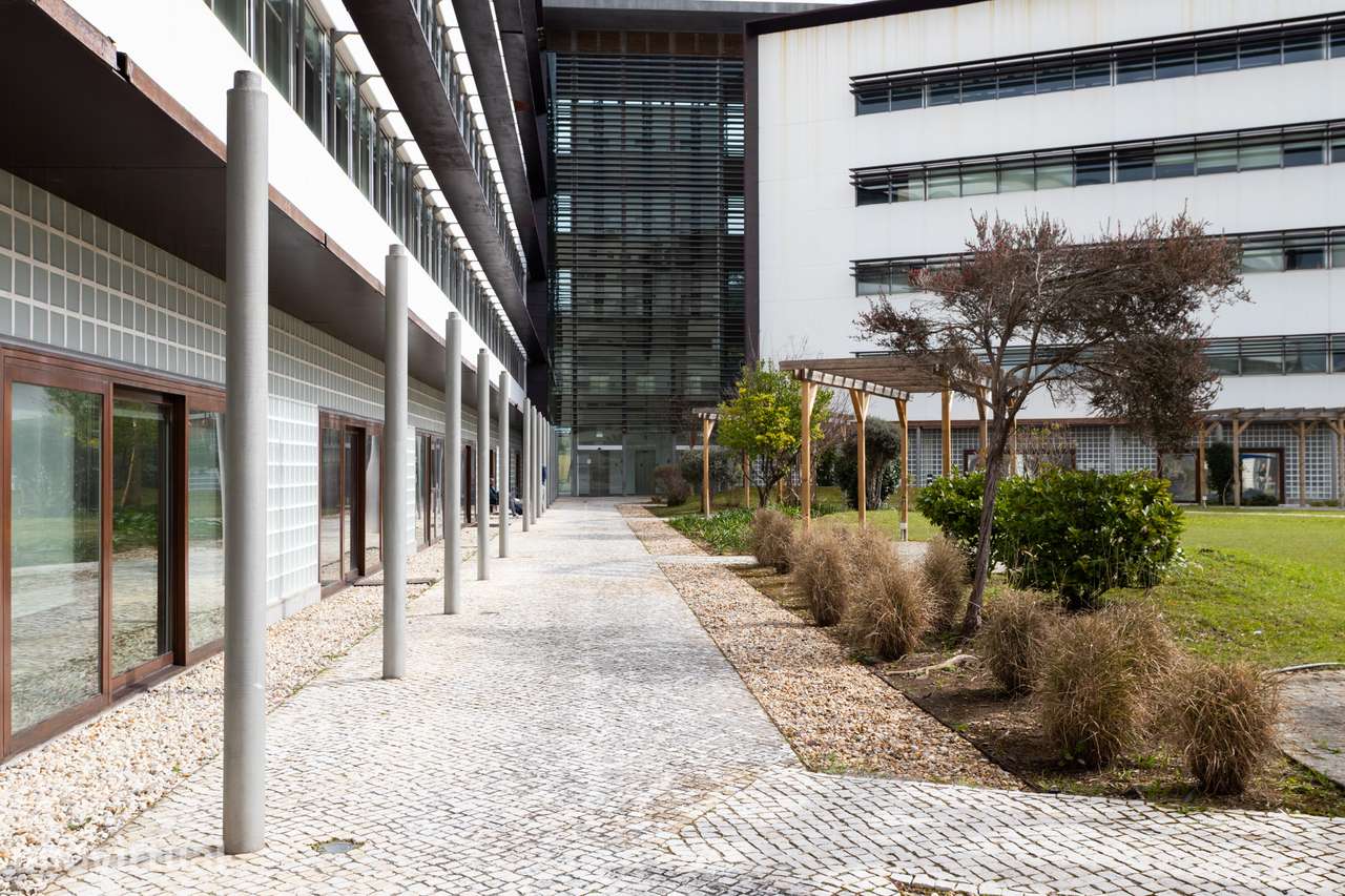 Escritório para arrendamento na Av. Tomás Ribeiro 43,  Edifício Neopar - Grande imagem: 3/29