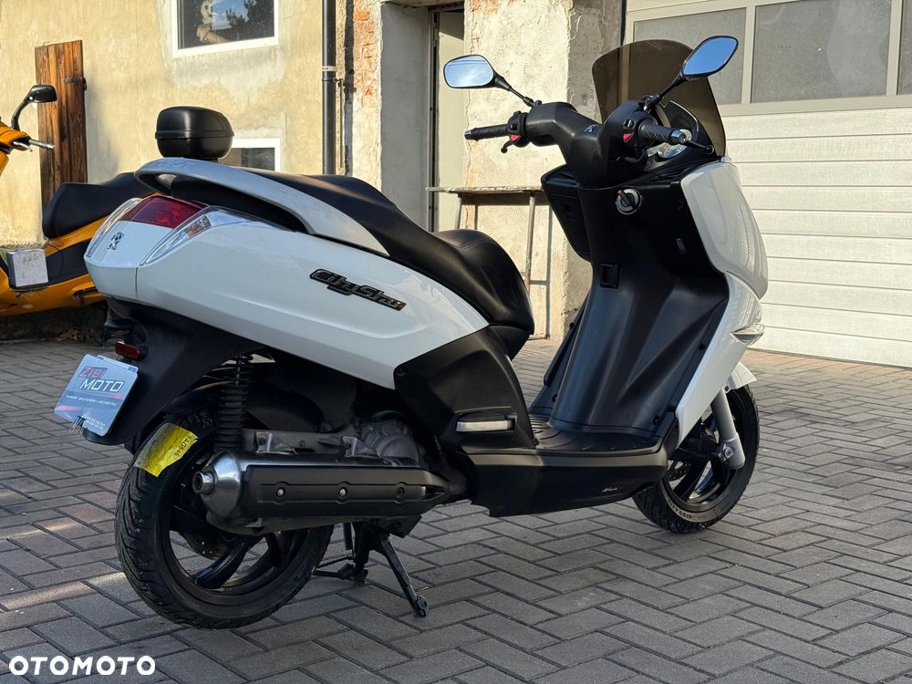 Peugeot Citystar - 10