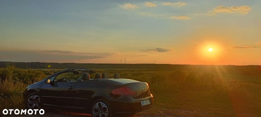Peugeot 307 CC - 6