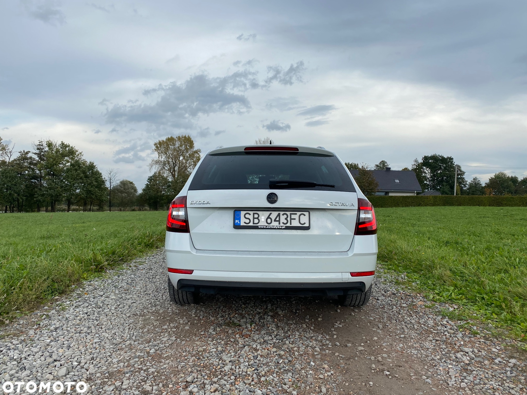 Skoda Octavia 1.6 TDI DSG Style - 8