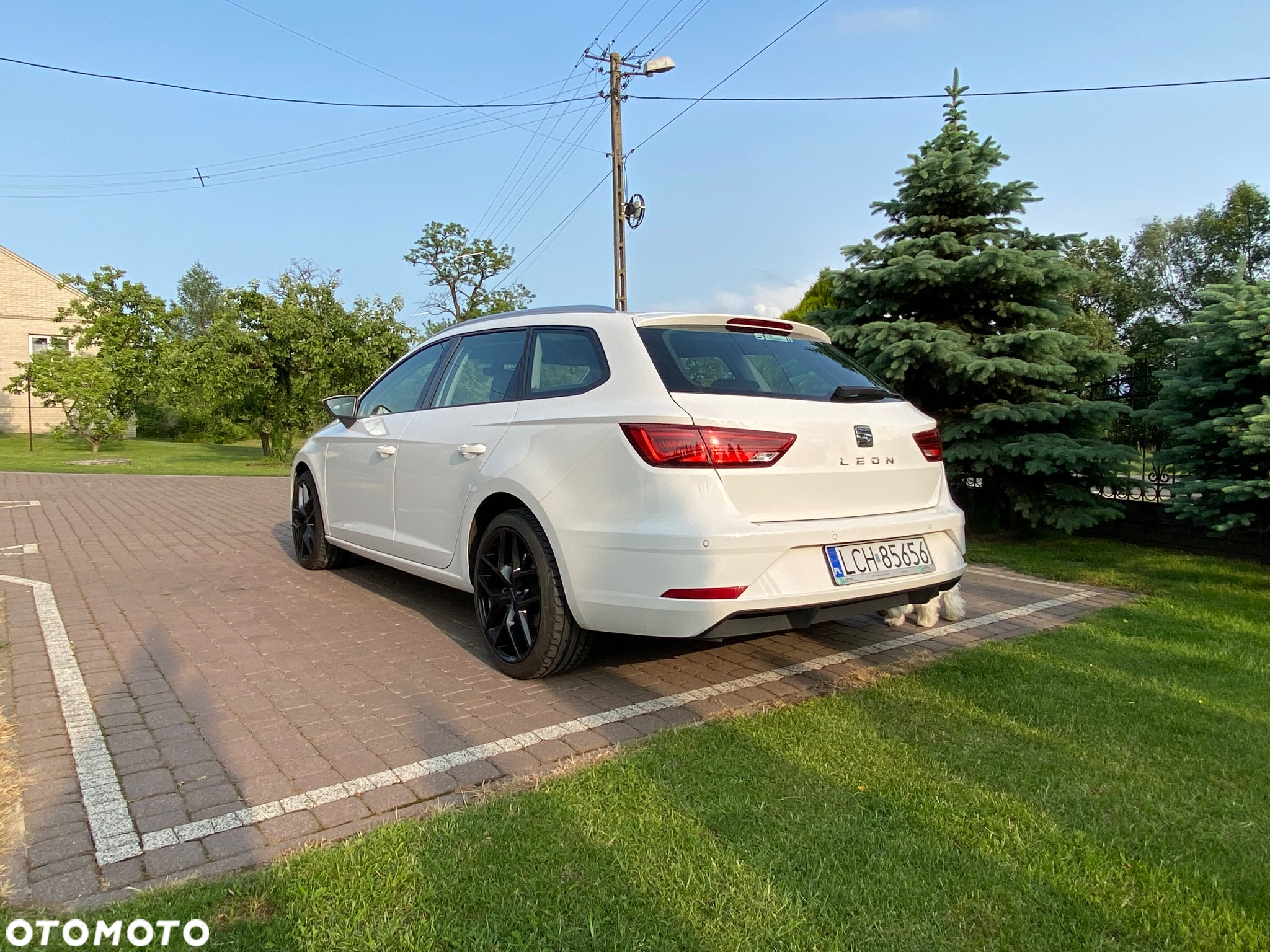 Seat Leon 1.6 TDI Full LED S&S - 8