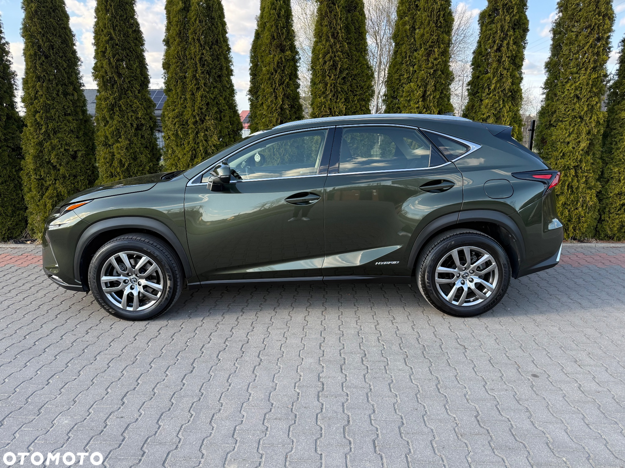 Lexus NX - 25