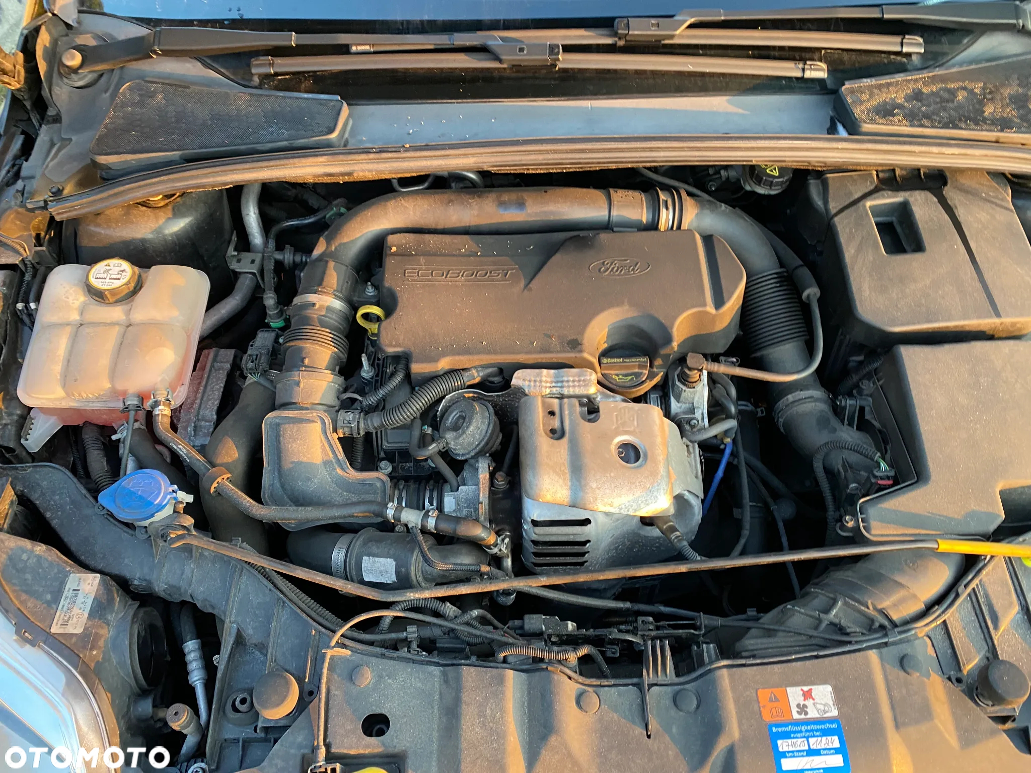 Ford Focus - 3