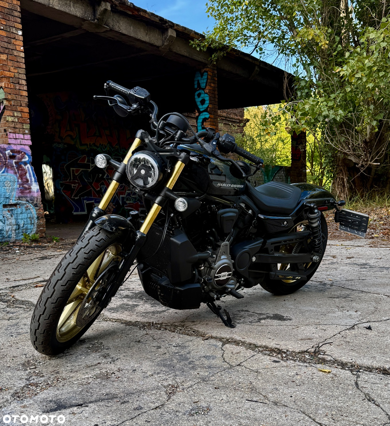 Harley-Davidson Sportster Nightster 975 - 10