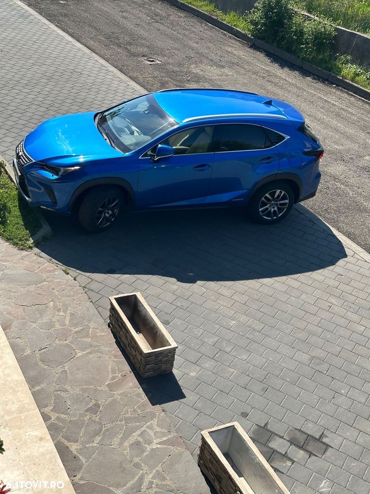 Lexus Seria NX 300h AWD Executive Plus - 8