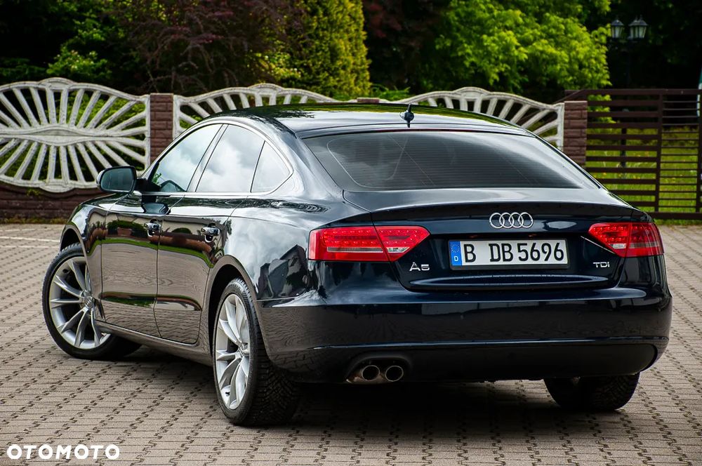 Audi A5 Sportback 2.0 TDI DPF - 15