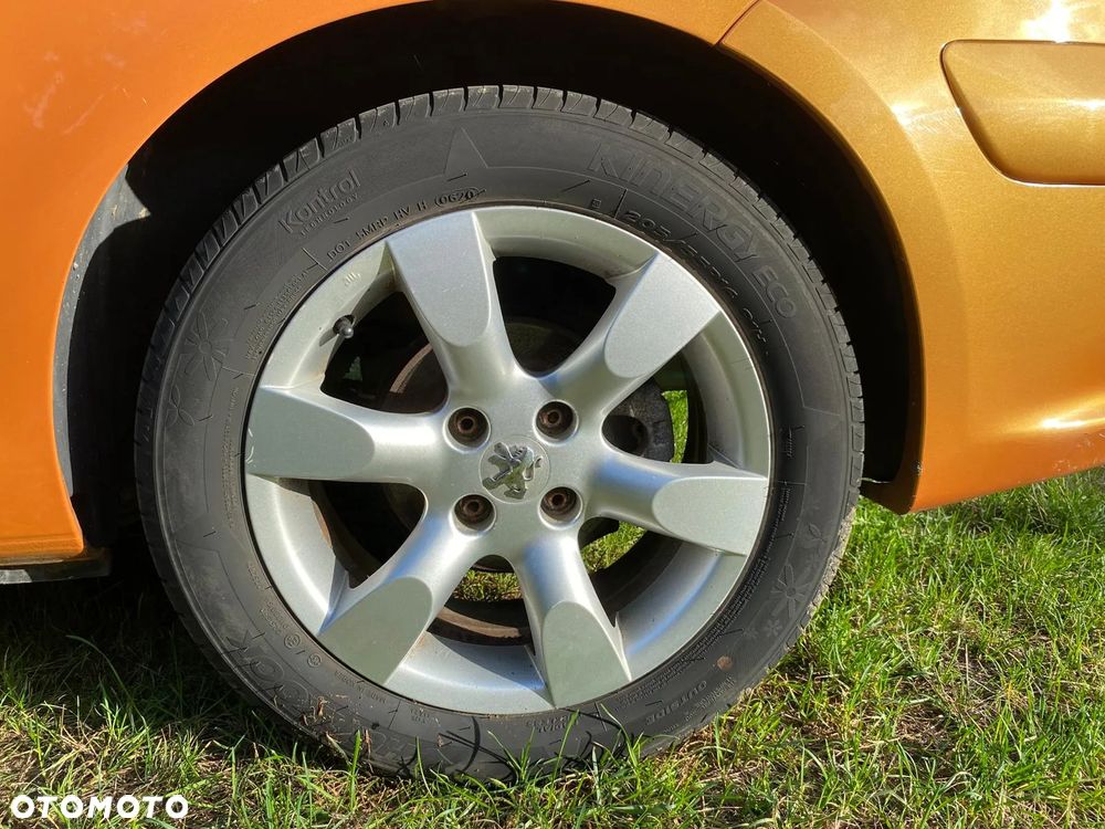 Peugeot 307 - 10
