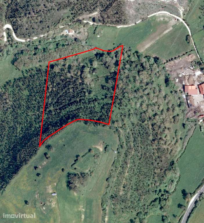 Refúgio Natural com Quase 7 Hectares no Gradil, Mafra - Grande imagem: 4/31