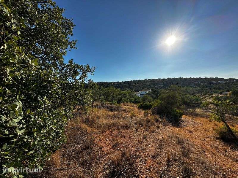 Terreno Rustico em Boliqueime, Ribeiro - Grande imagem: 2/12