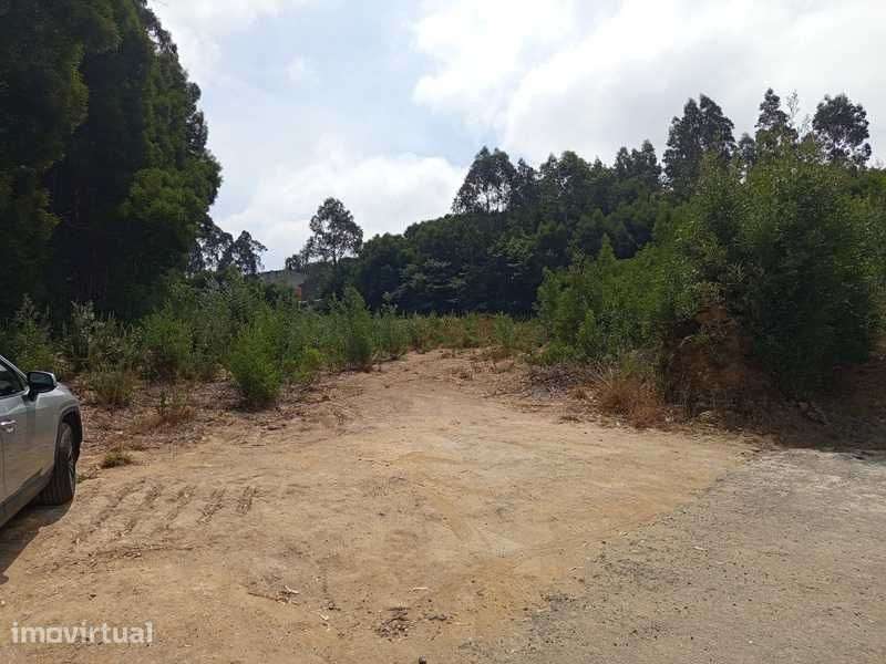 Alugo Arrendo terreno - Grande imagem: 2/4