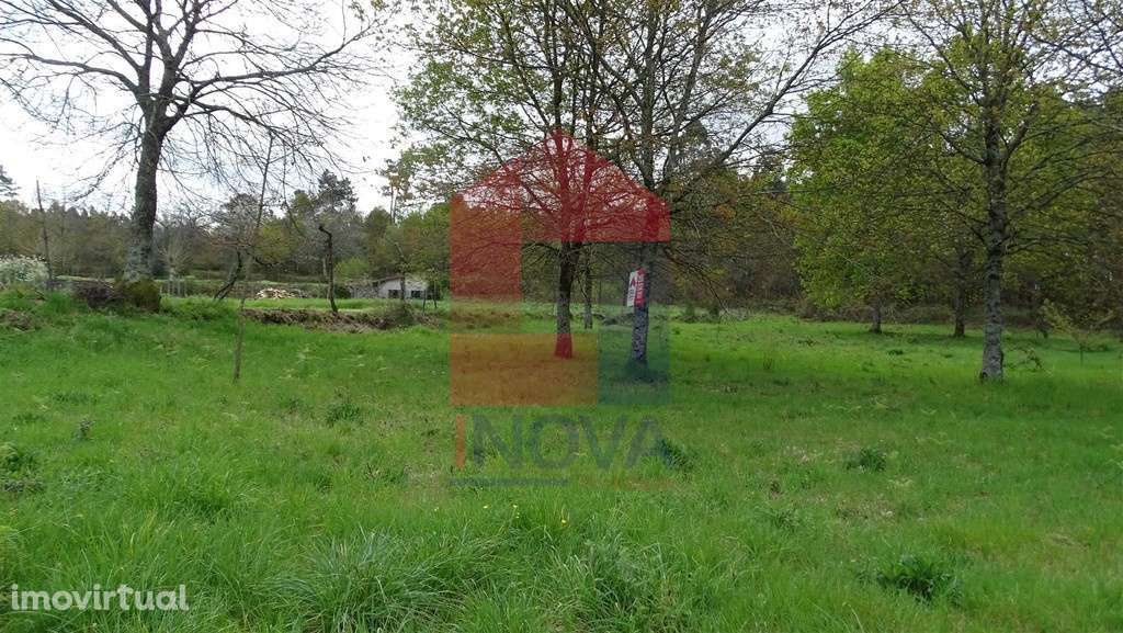 Vende-se Terreno, Coucieiro - Grande imagem: 4/7