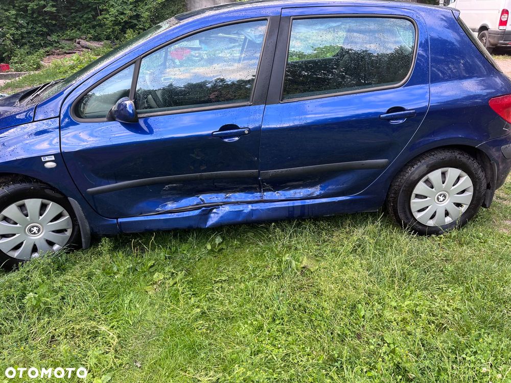 Peugeot 307 - 4