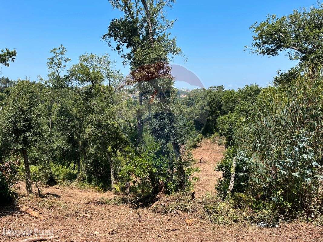 Terreno  para venda - Grande imagem: 4/11