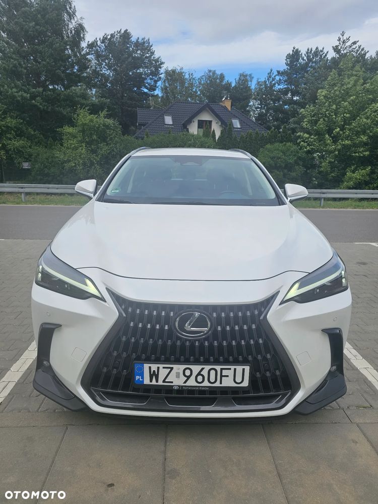 Lexus NX 300 Business Edition AWD - 8