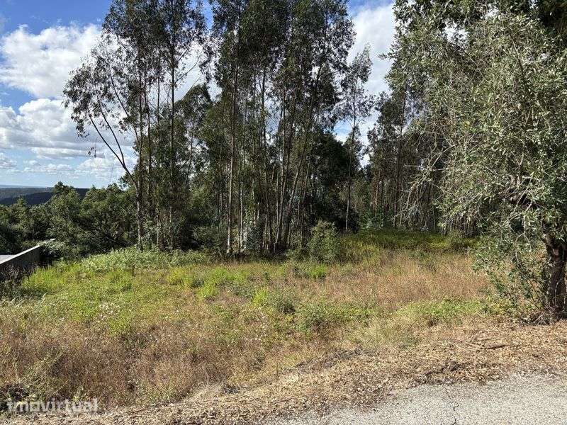 Vende se terreno para construção - Grande imagem: 2/8