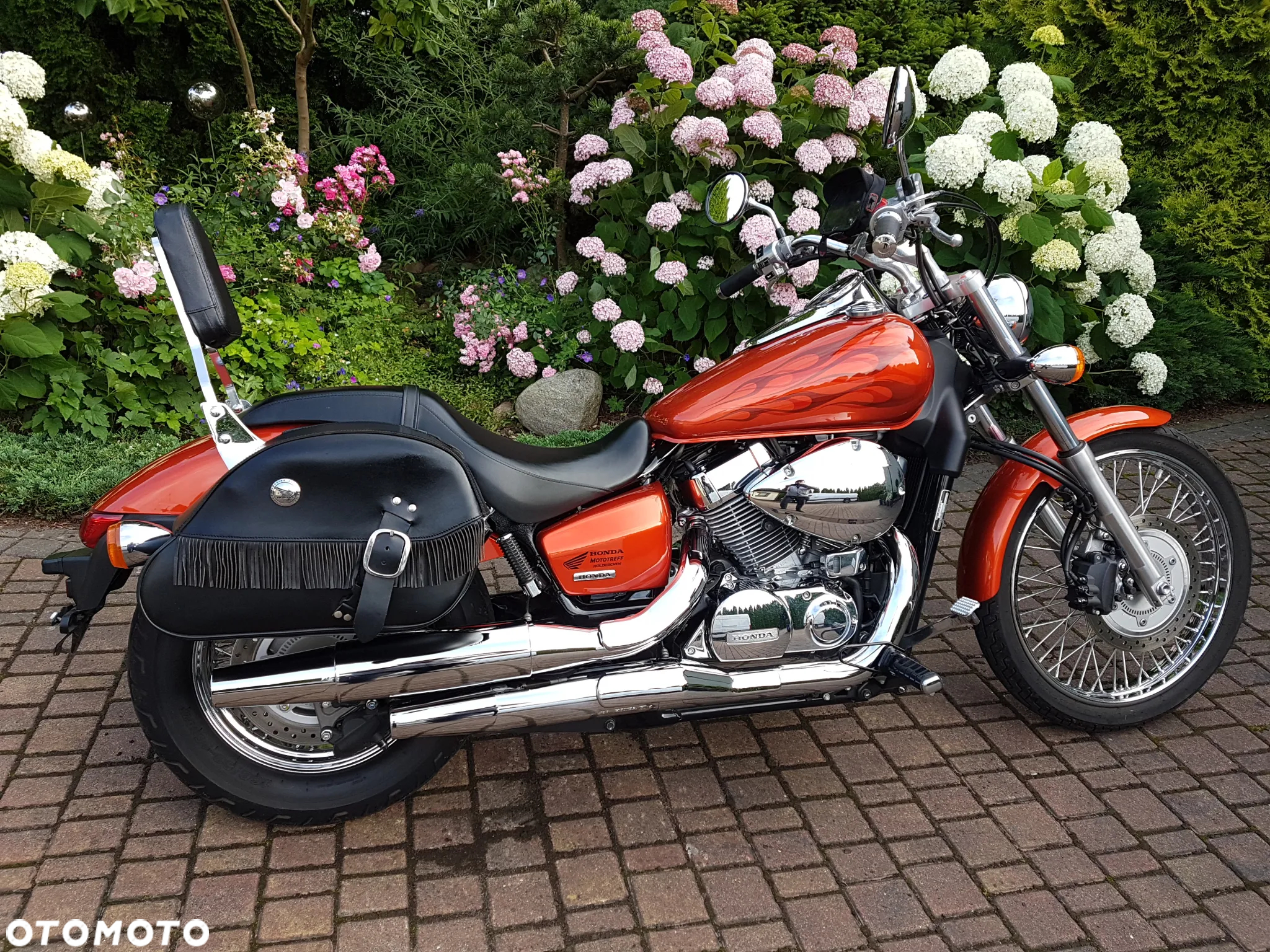 Honda Shadow - 5