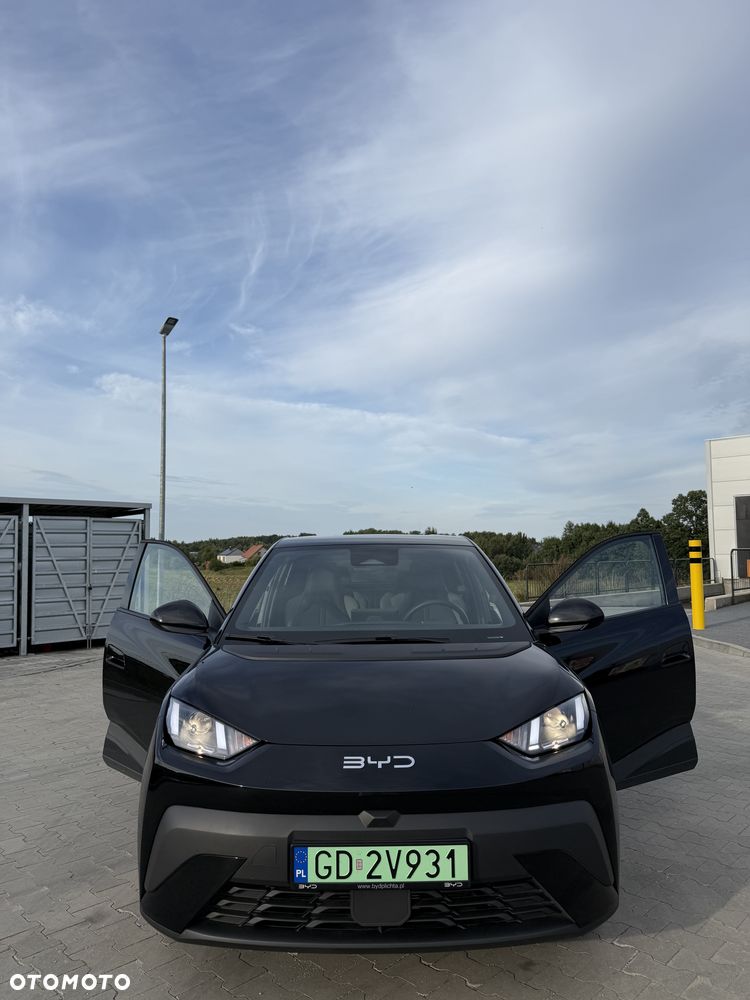BYD Dolphin Surf Boost - 2