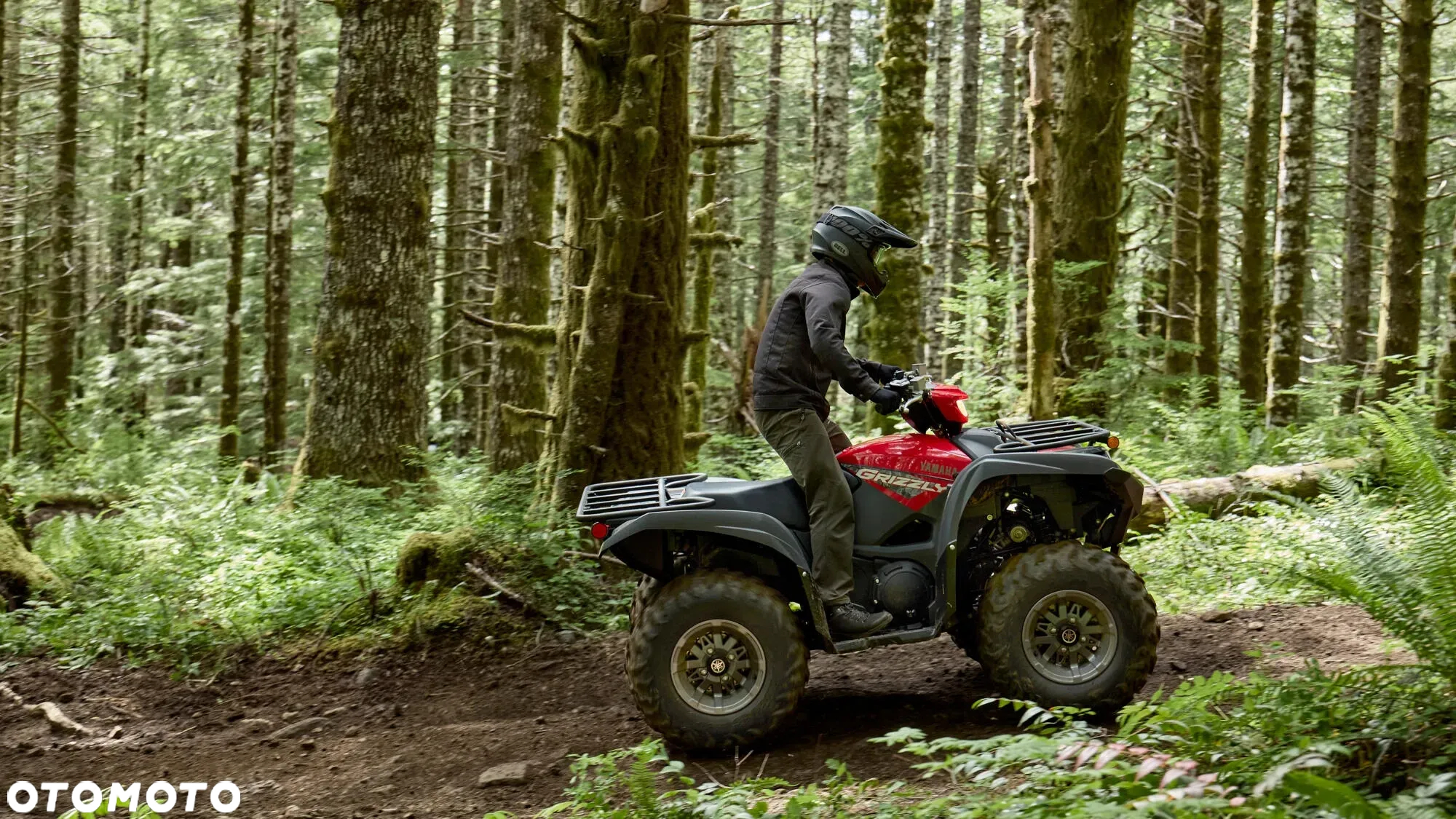 Yamaha Grizzly - 3