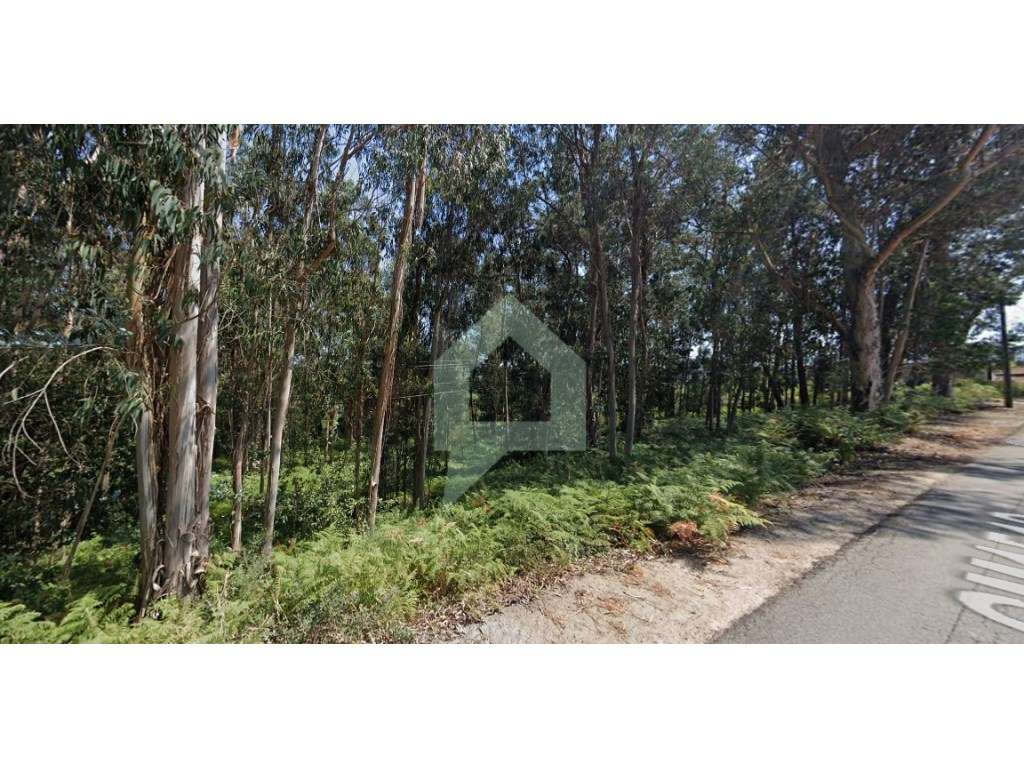 Terreno de construção em rio Covo S. Eulalia - Grande imagem: 3/5