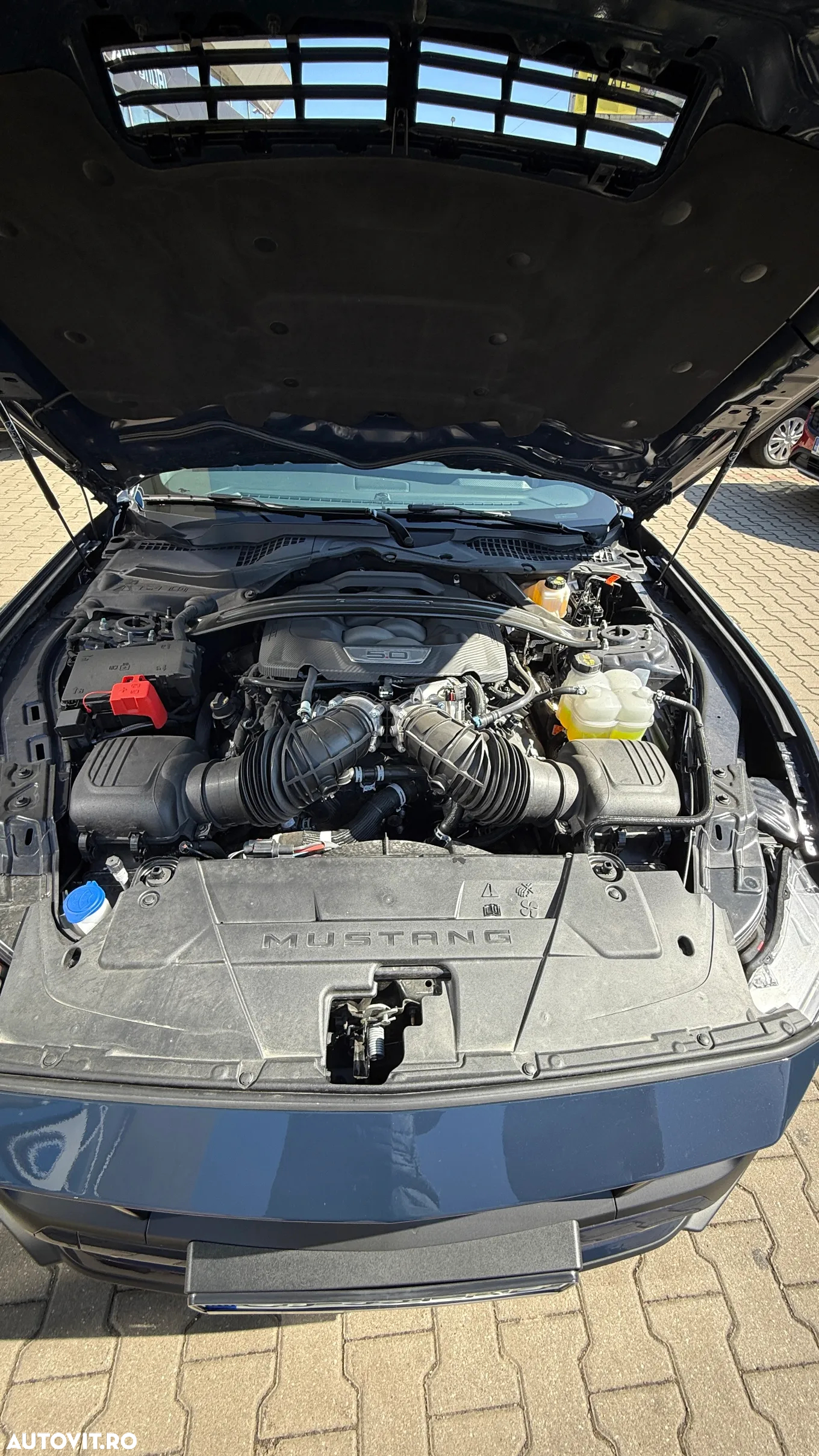 Ford Mustang 5.0 V8 Aut. Mach 1 - 28
