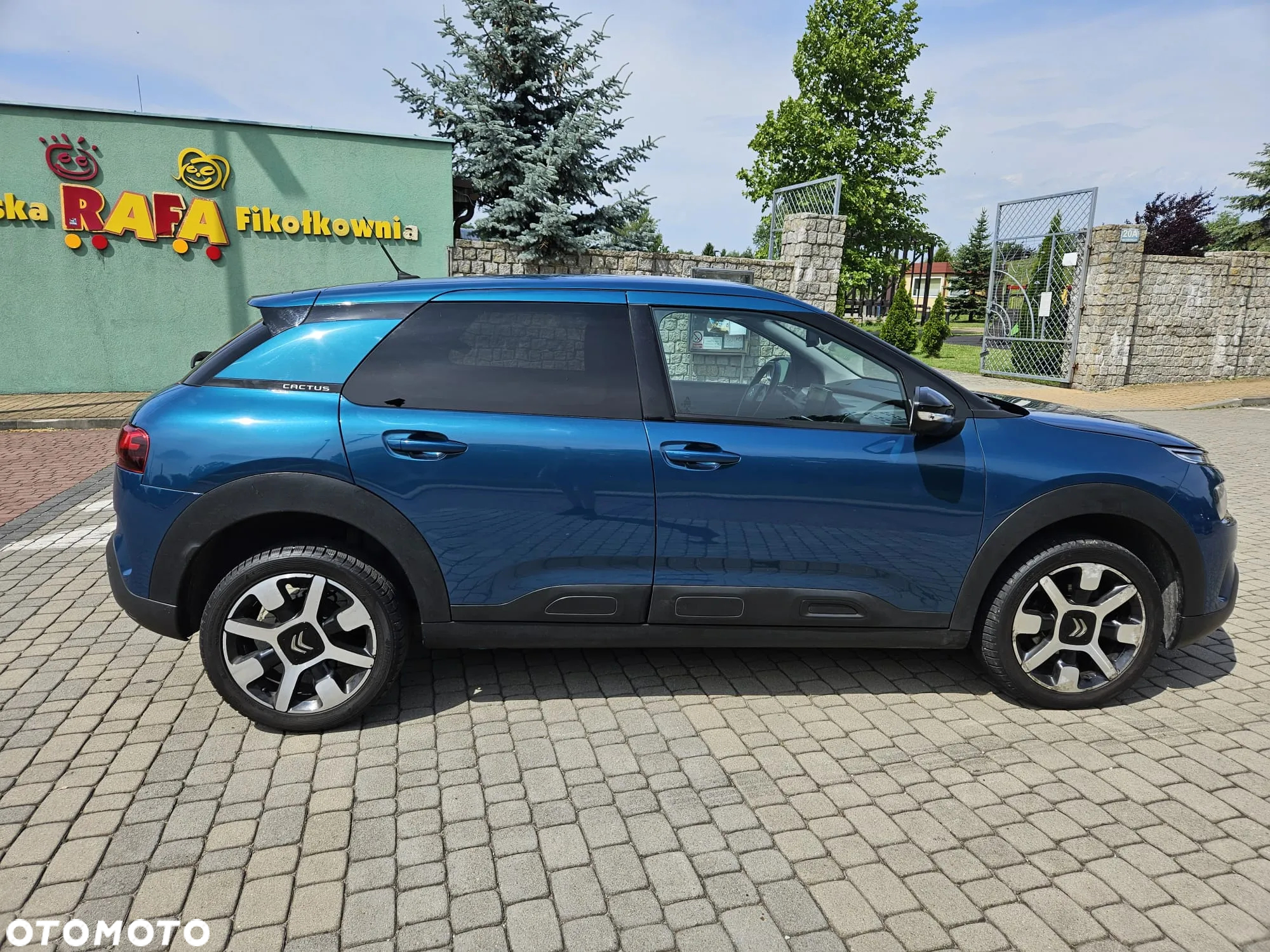 Citroën C4 Cactus 1.5 BlueHDi Feel - 3