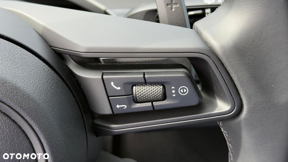 Porsche Panamera 4 E-Hybrid PHEV - 14