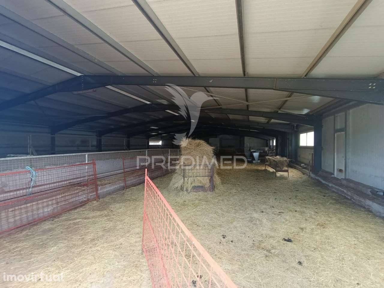 Exploração agropecuaria em Trancoso - Grande imagem: 3/23