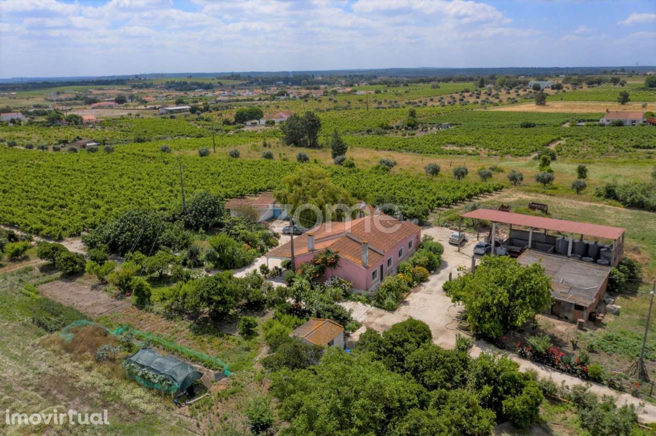 Herdade D. Alda - vinhas prestigiadas e premiadas! - Grande imagem: 2/23