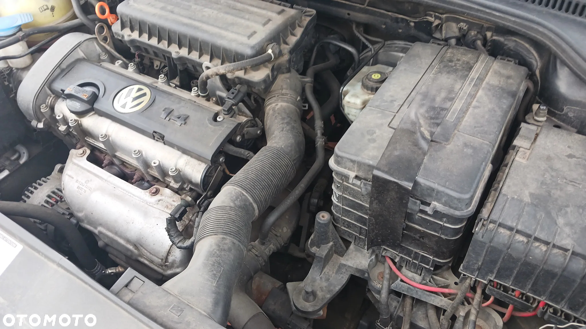 Volkswagen Golf - 10