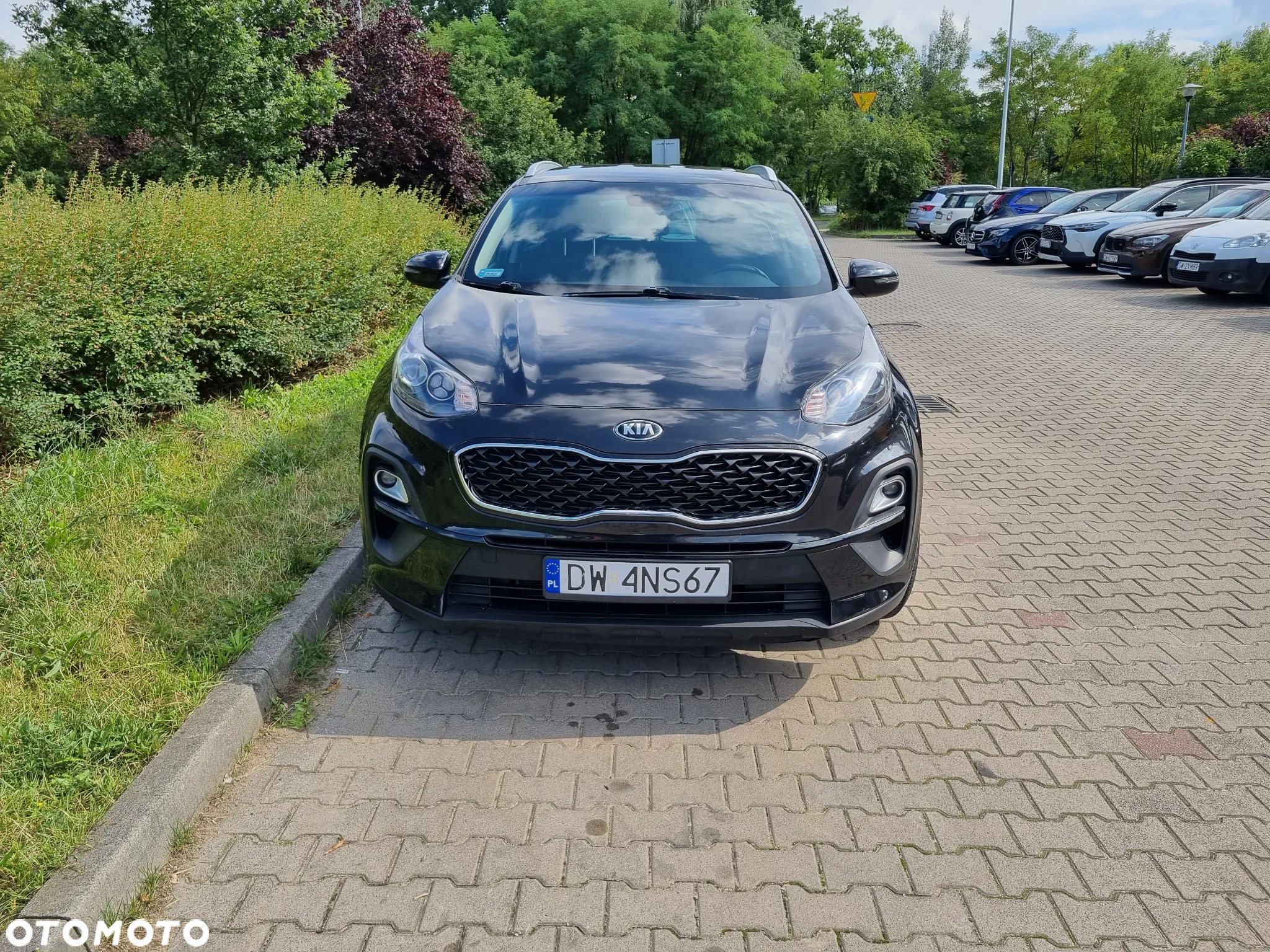 Kia Sportage 1.6 GDI L 2WD - 25