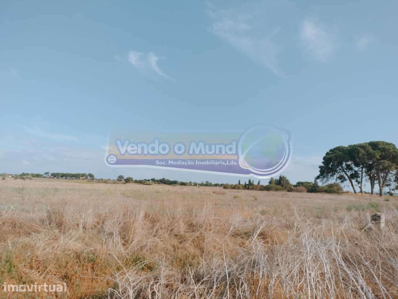 Terreno em Benavente (B556) - Grande imagem: 2/3