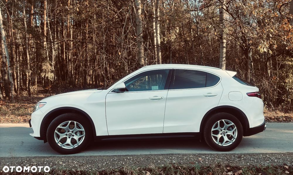Alfa Romeo Stelvio 2.0 Turbo 16V AT8-Q4 Executive - 5
